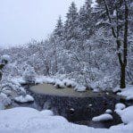 Dalbeattie loch covered in snow