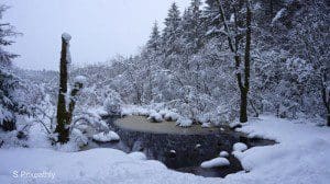 Dalbeattie loch covered in snow