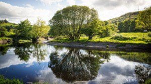 Picture taken just outside Dalbeattie with the Urr river reflecting this imposing tree
