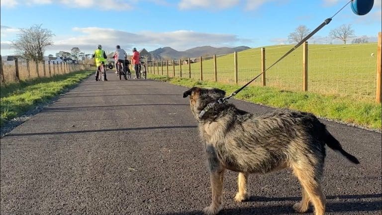 Pedestrian Paradise: Nithsdale’s Active Travel Path A Resounding Hit Among Locals