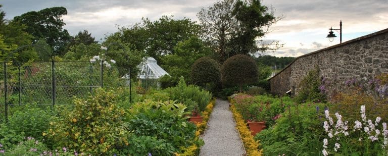 OPPORTUNITIES GALORE FOR BROUGHTON HOUSE  VOLUNTEERS