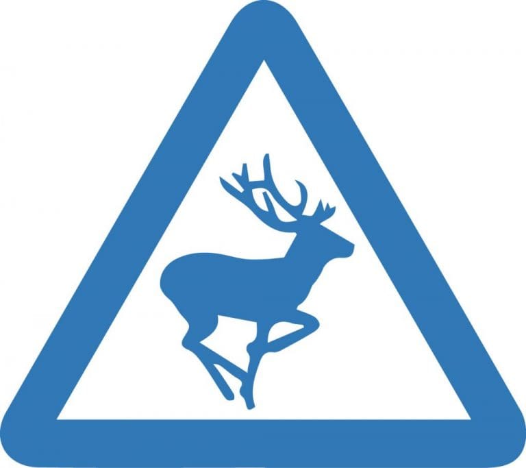 WARNING TO WATCH OUT FOR YOUNG DEER ON D&G ROADS