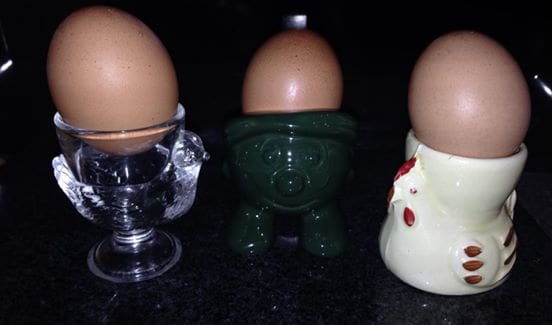 ITALY FINE A SLAP IN THE FACE FOR SCOTTISH EGG PRODUCERS