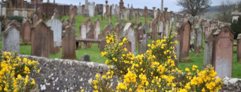 COUNCIL’S GRASS CUTTING OF RURAL CEMETRIES A DISGRACE, SAYS FERGUSSON