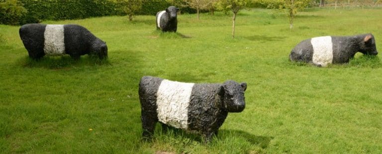 TEAM DGWGO VISIT THREAVE GARDENS IN MAY