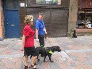 1 a 1 a guide dog