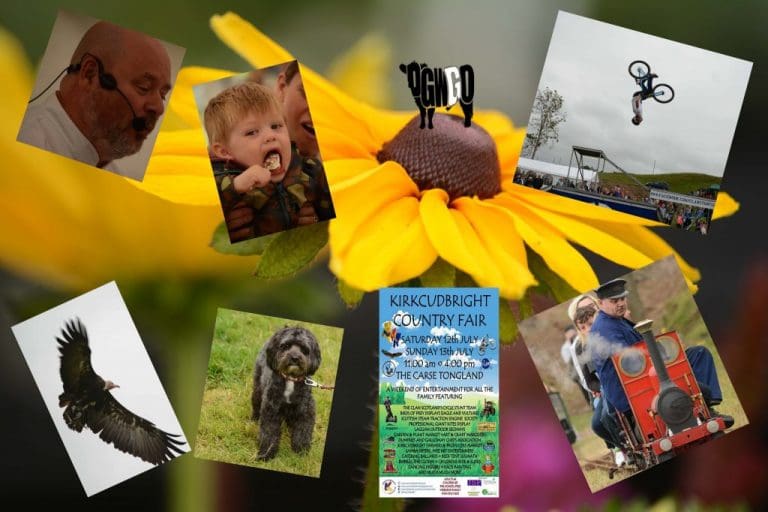 TEAM DGWGO VISIT KIRKCUDBRIGHT GARDEN AND COUNTRY FAIR 2014