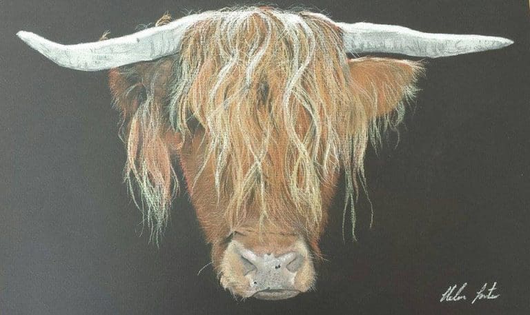 FEATURED ARTIST – HELEN FOSTER FROM LANGHOLM