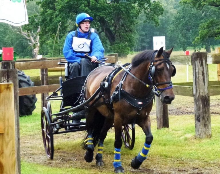 SUCCESS FOR LOCAL D&G PARA-DRIVERS AT NATIONAL NOVICE PARA DRIVING CHAMPIONSHIPS