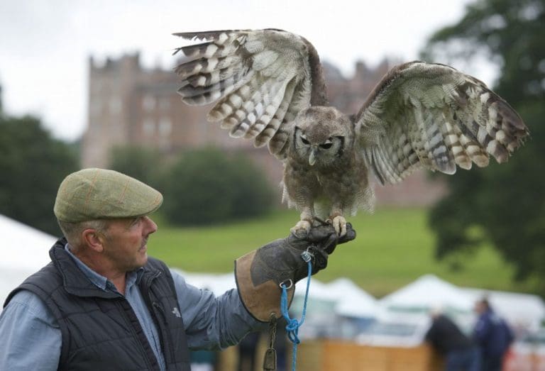 18,000 FOLK THROUGH THE GATES AT GALLOWAY COUNTRY FAIR 2014