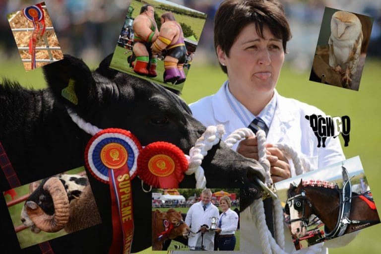 SUN SHINES FOR WIGTOWN SHOW 2014 – DGWGO REVIEW AND PHOTOS