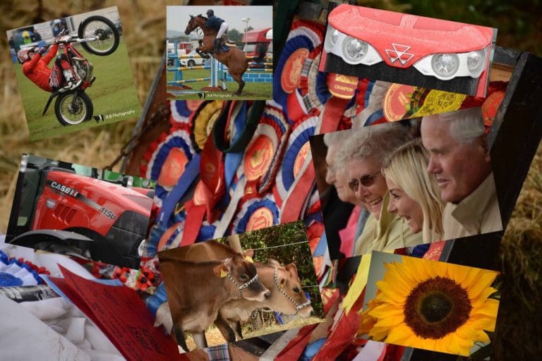 DUMFRIES SHOW 2014 ,PICTURES AND REVIEW