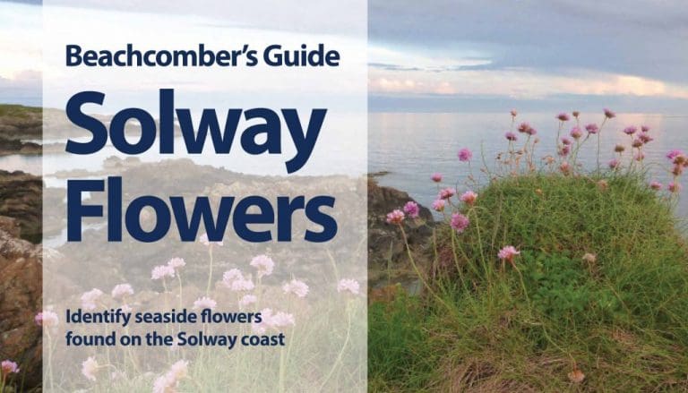 NEW GUIDE TO SOLWAY COAST FLOWERS LAUNCHED