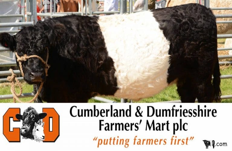 DUMFRIES MART WEEKLY PRIMESTOCK REPORT