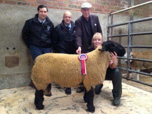Best suffolk