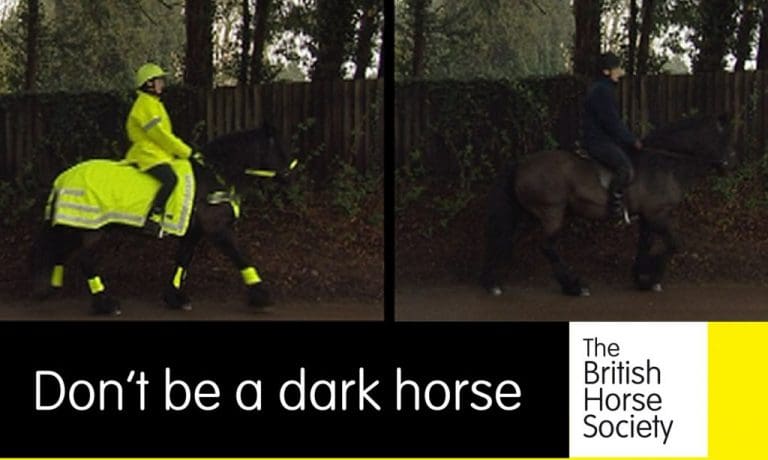 PLEASE SLOW DOWN FOR HORSES ON DUMFRIES AND GALLOWAYS ROADS