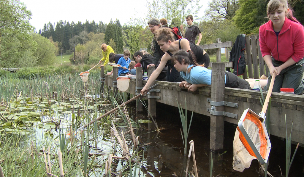 Pupils pond dipping