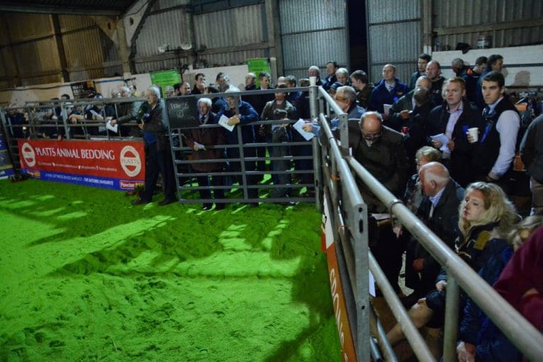 HUGE CROWD TURN OUT FOR SOUTH OF SCOTLAND DAIRY SHOW 2014