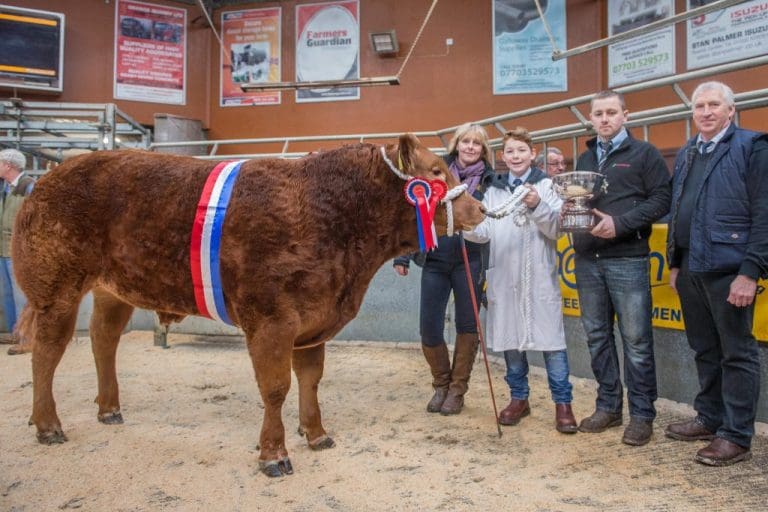 DUMFRIES MART HOLD CHRISTMAS PRIMESTOCK SHOW AND SALE