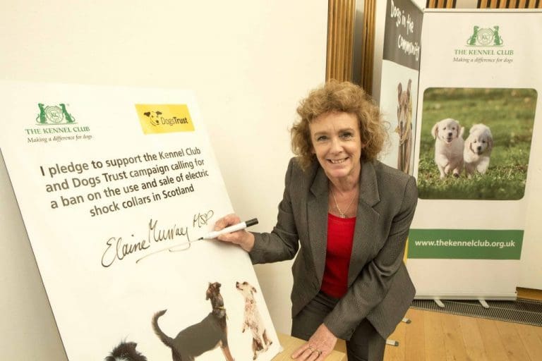 DUMFRIES AND GALLOWAY MSP CALLS FOR BAN ON ELECTRIC SHOCK DOG COLLARS