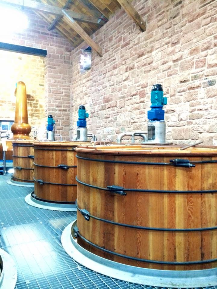 1 a 1 a annan Douglas Fir washbacks