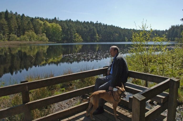 YOUR VIEWS ARE WANTED ON THE FUTURE PLAN OF DALBEATTIE FOREST