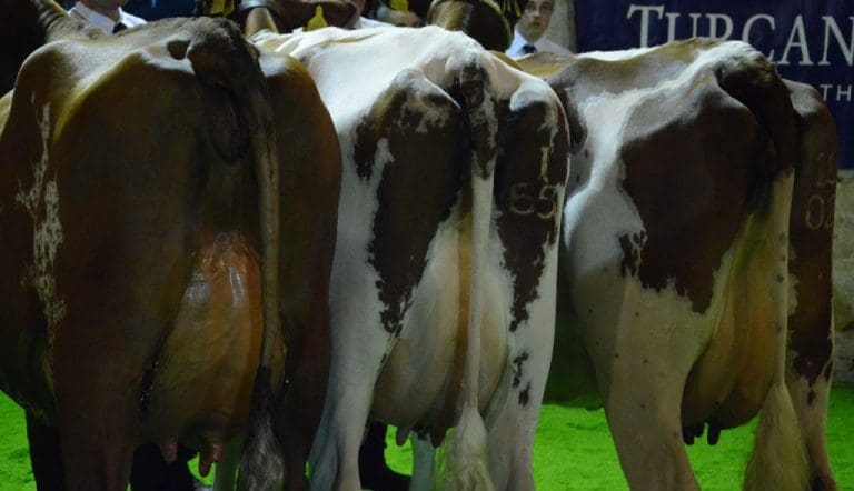 WIGTOWNSHIRE DAIRY CONFERENCE -FARMING IN A CHANGING CLIMATE