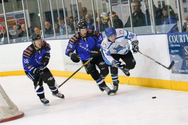 SHARKS SPLIT THEIR WEEKEND SERIES WITH SHEFFIELD AND BILLINGHAM – PLAYOFF RACE STILL IN THE BALANCE