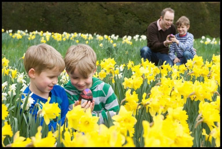 NATIONAL TRUST IS GETTING ‘EGGCITED’ ABOUT EASTER IN DUMFRIES AND GALLOWAY