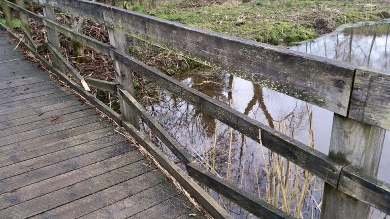 COMMUNITY GARDENS SPIRITS LIFTED BY PUBLIC SUPPORT AFTER DISGUSTING VANDALISM ATTACK