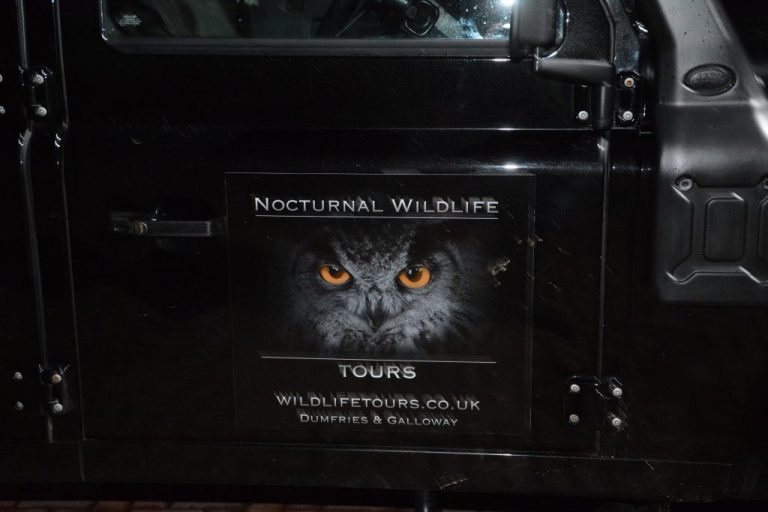 NOCTURNAL WILDLIFE TOURS LTD WON’T LEAVE YOU IN THE DARK