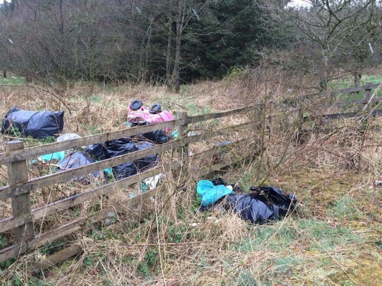 FLY TIPPING IN DUMFRIES AND GALLOWAY :WHY GO THE EXTRA MILE ?