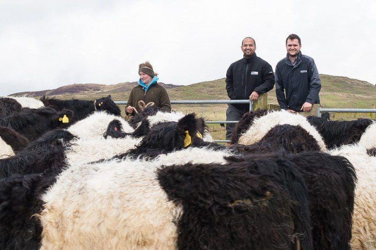 HISTORIC DUMFRIES AND GALLOWAY  CATTLE TRAIL TO BE CELEBRATED AND ENHANCED