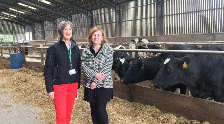 DUMFRIES AND GALLOWAYS YOUTH SET FOR REWARDING CAREERS IN THE DAIRY INDUSTRY