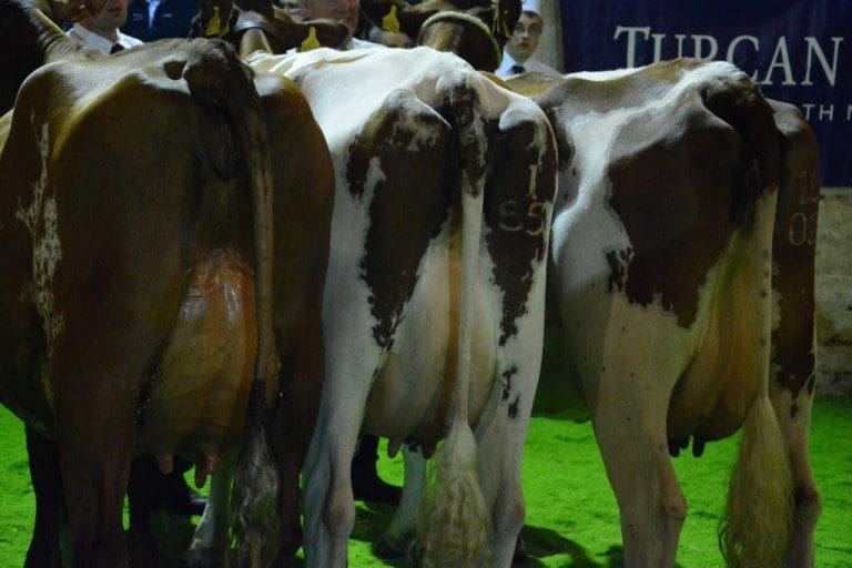 FARMING ORGANISATIONS AGREE THAT WORK IS NEEDED TO IMPROVE MILK CONTRACTS