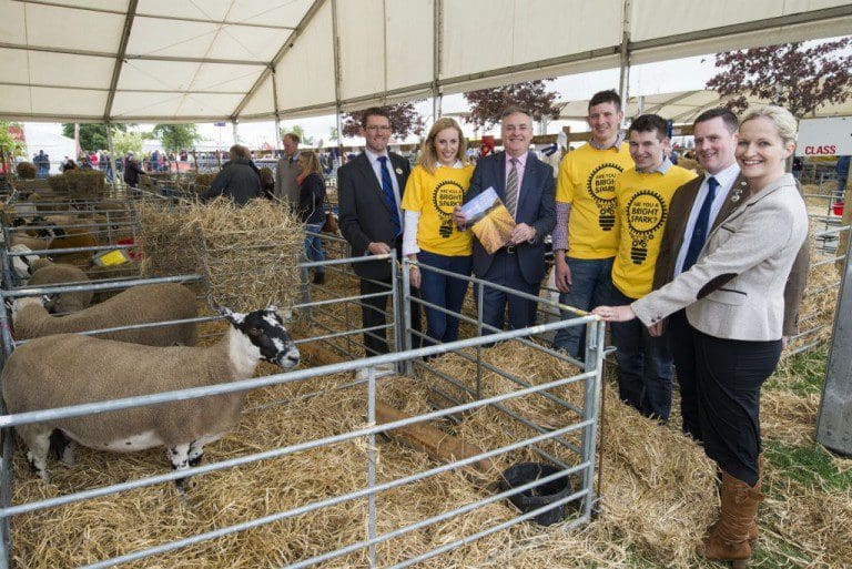 Whithorn Farmer In Running For Bright Spark Award
