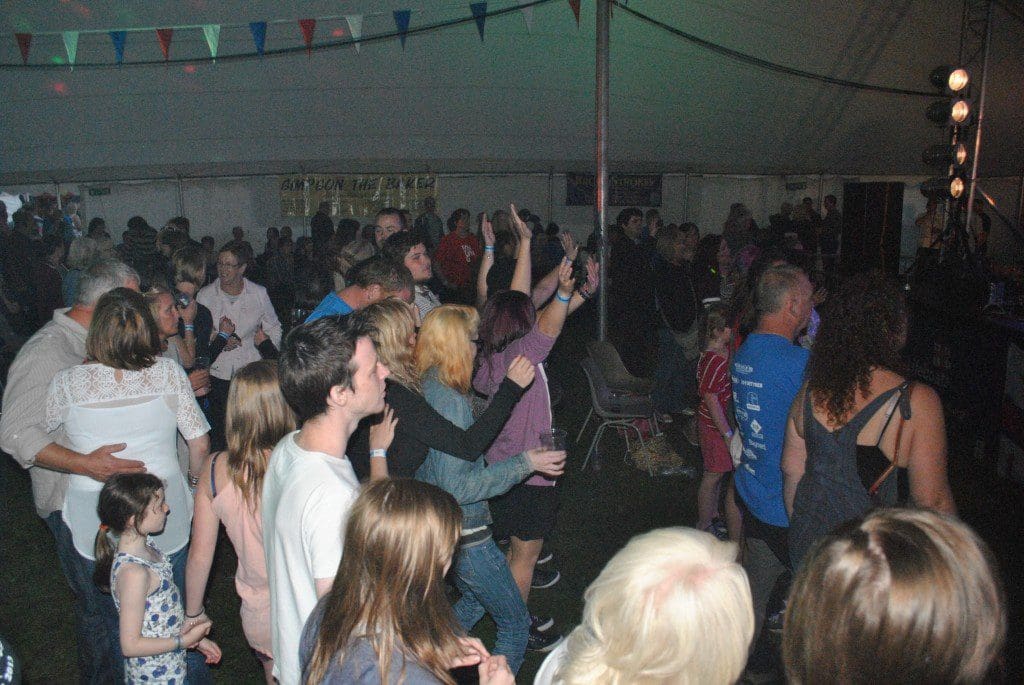 The park fest crowd enjoying the festival spirit