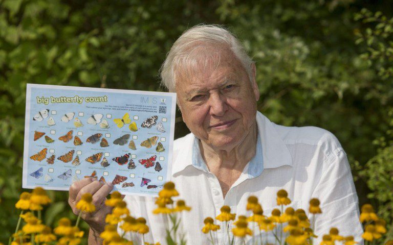 DON’T LET BUTTERFLIES FLUTTER BY DUMFRIES AND GALLOWAY SAYS ‘SIR DAVID ATTENBOROUGH’