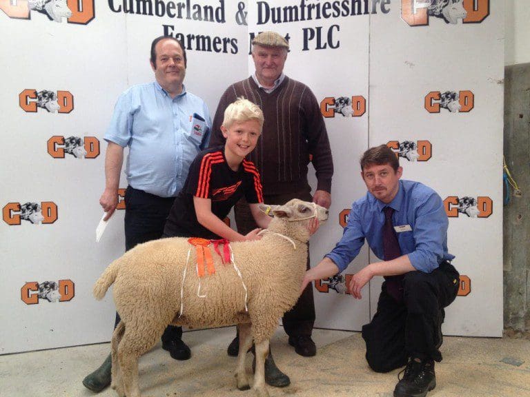 DUMFRIES MART REPORT 08/07/2015