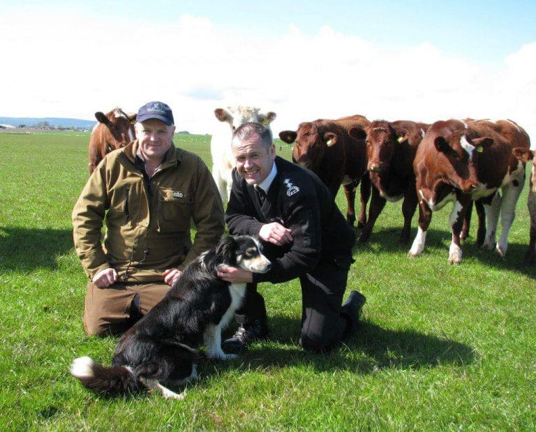 Pride In Scottish Livestock Welfare Highlighted In QMS And Scottish SPCA Partnership