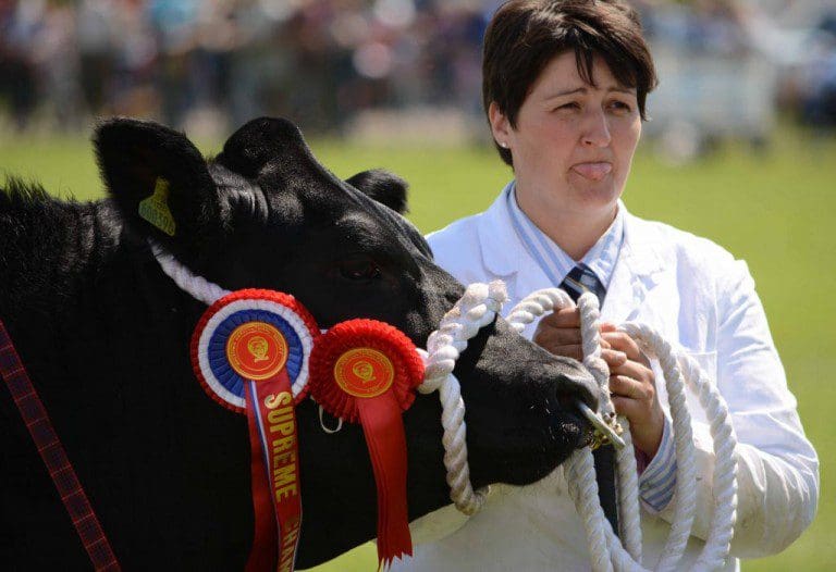 WIGTOWN SHOW -TRULY A DAY OUT FOR EVERYONE