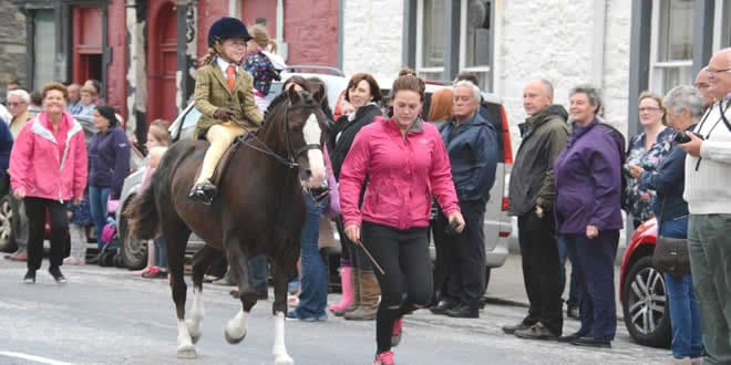 KIRKCUDBRIGHT RIDING OF THE MARCHES 2015: DGWGO GALLERY