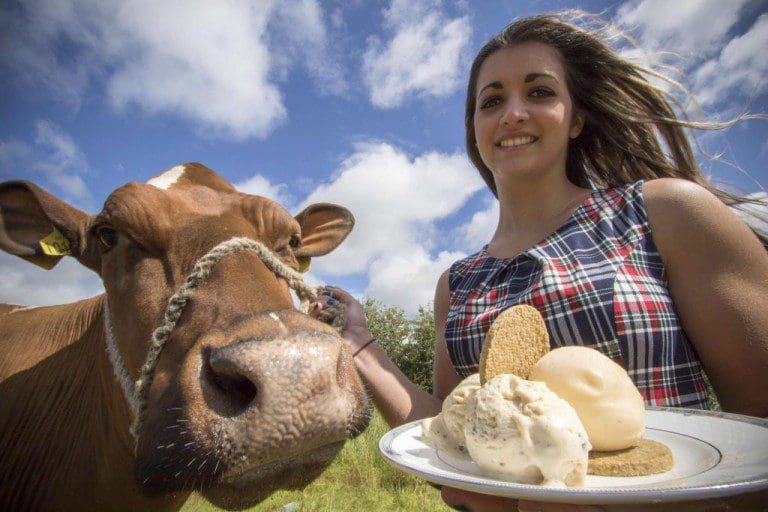 HAGGIS ICE CREAM AND NEEPS SORBET TO DEBUT AT GALLOWAY COUNTRY FAIR 2015