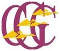SKY STAYS CLEAR FOR GALLOWAY CRICKET LADIES TO PLAY AT EDINBURGH