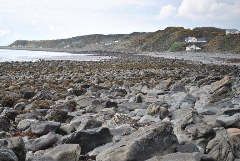 BODY WASHES ASHORE AT WIGTOWNSHIRE BEAUTY SPOT