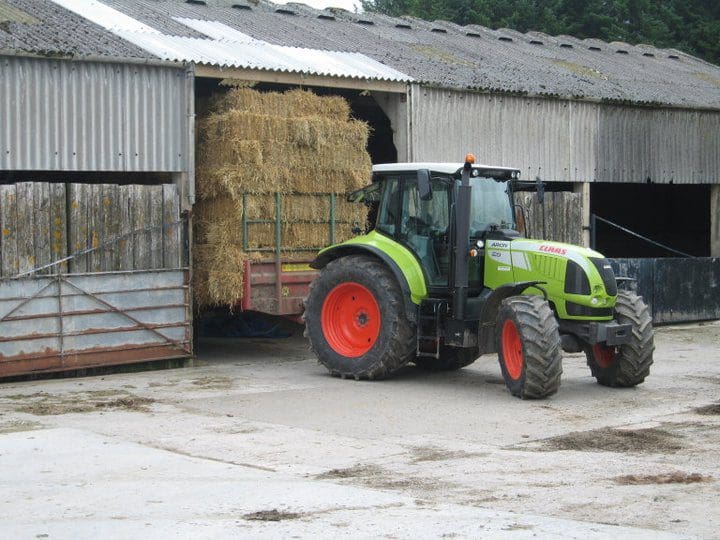 NO GM CROPS TO BE GROWN IN  SCOTLAND