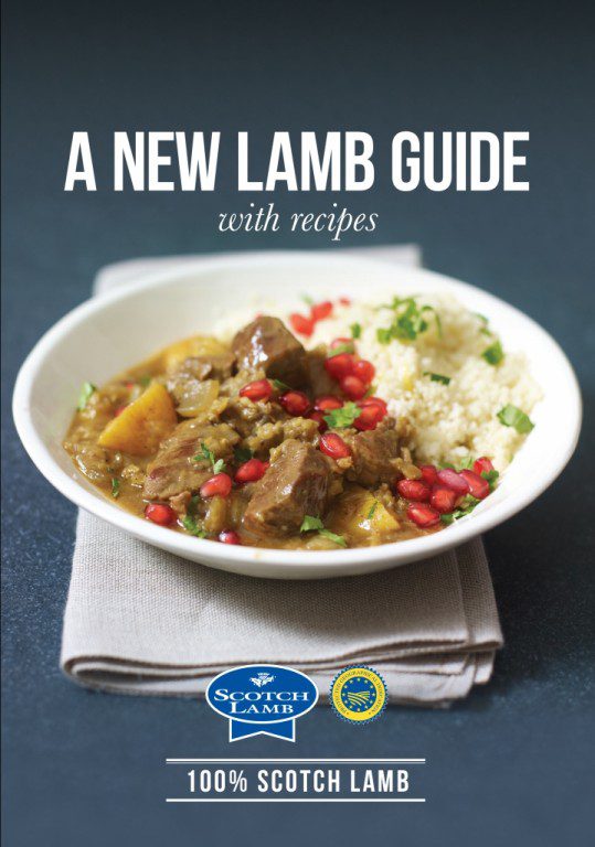 cult of the lamb beginners guide download free cult of the lamb beginners guide download free