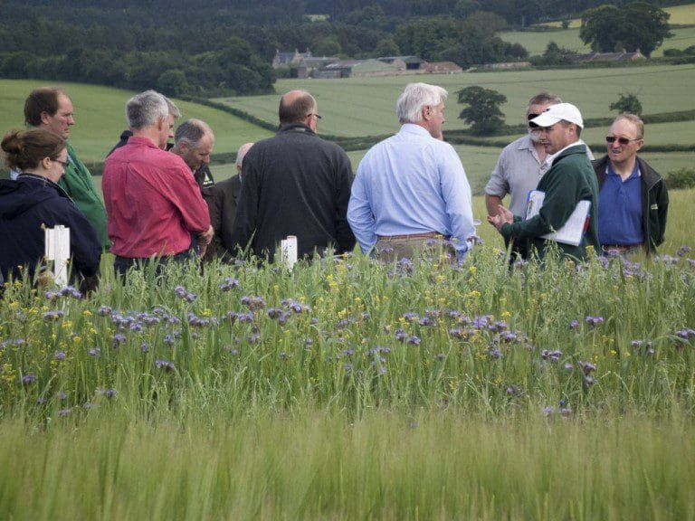 SRUC Experts Warn Farmers of Fungal Disease Risk to Spring Barley
