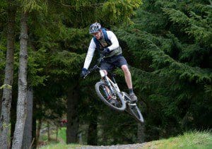 1 a 1 a dog trial 2 7Stanes Display
