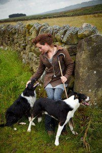 1 a 1 a sheep dog trials 4